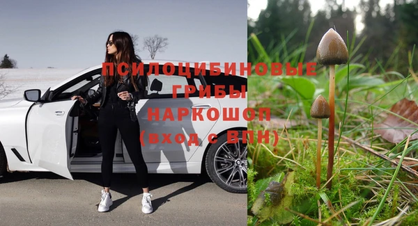 мяу мяу мука Алексин