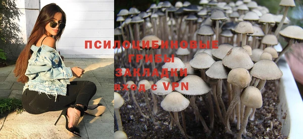 спайс Алексеевка