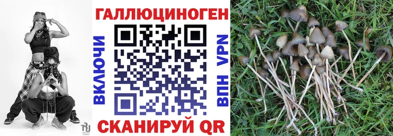 Псилоцибиновые грибы GOLDEN TEACHER  Арсеньев 