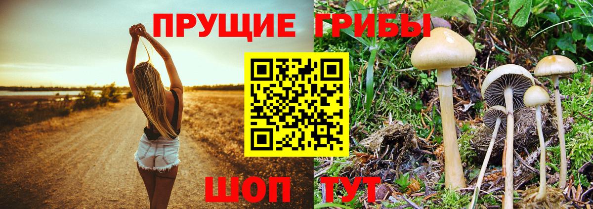 Псилоцибиновые грибы MAGIC MUSHROOMS  Галлюциногенные грибы MAGIC MUSHROOMS  Вход с VPN  Арсеньев 